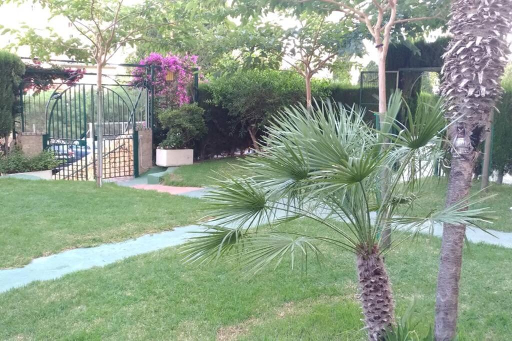Apartamento Moderno Benidorm Kültér fotó